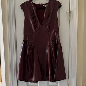 Francesca's Collections Burgundy Mini Dress